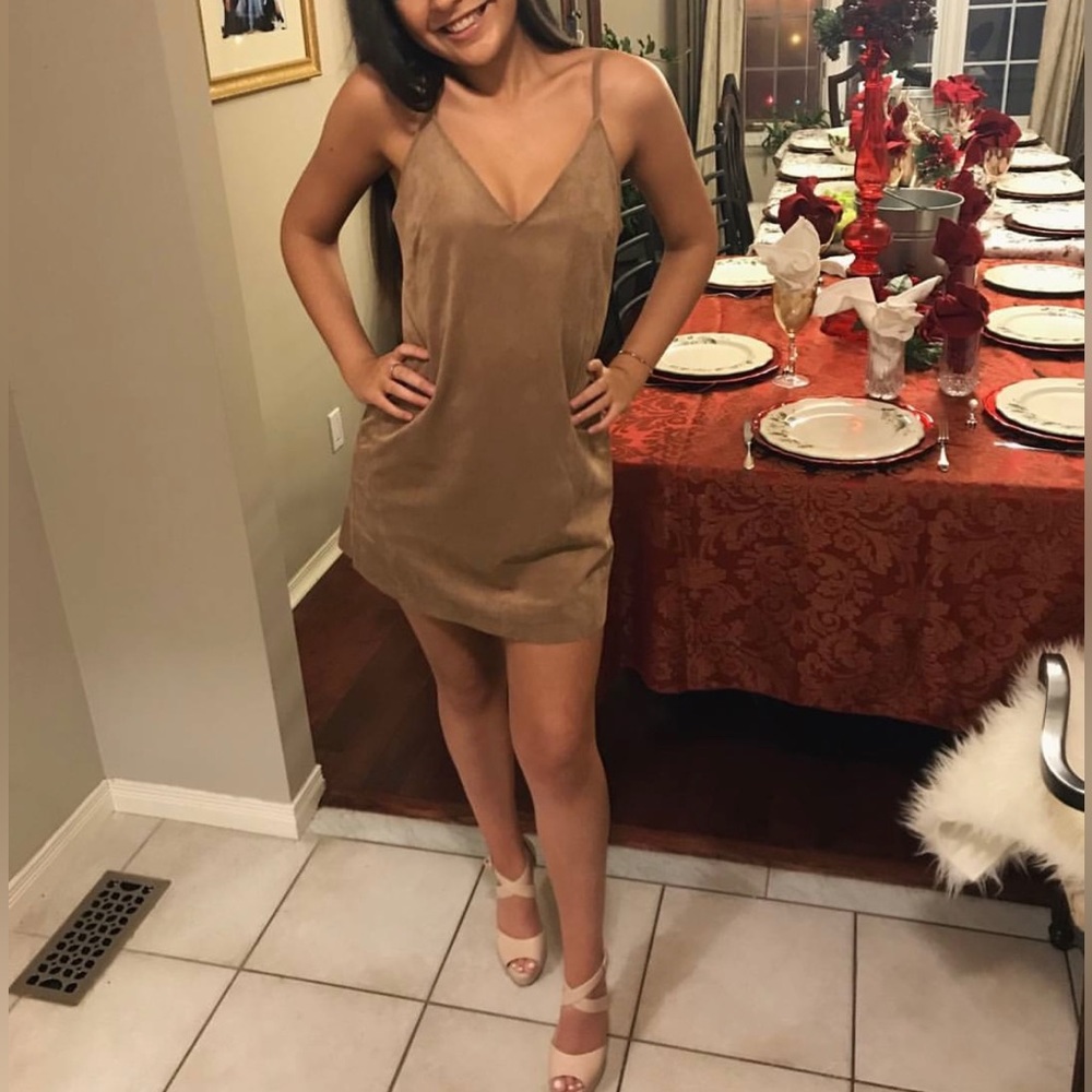 Aritzia suede dress